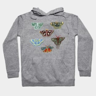 Watercolor Moths Hoodie